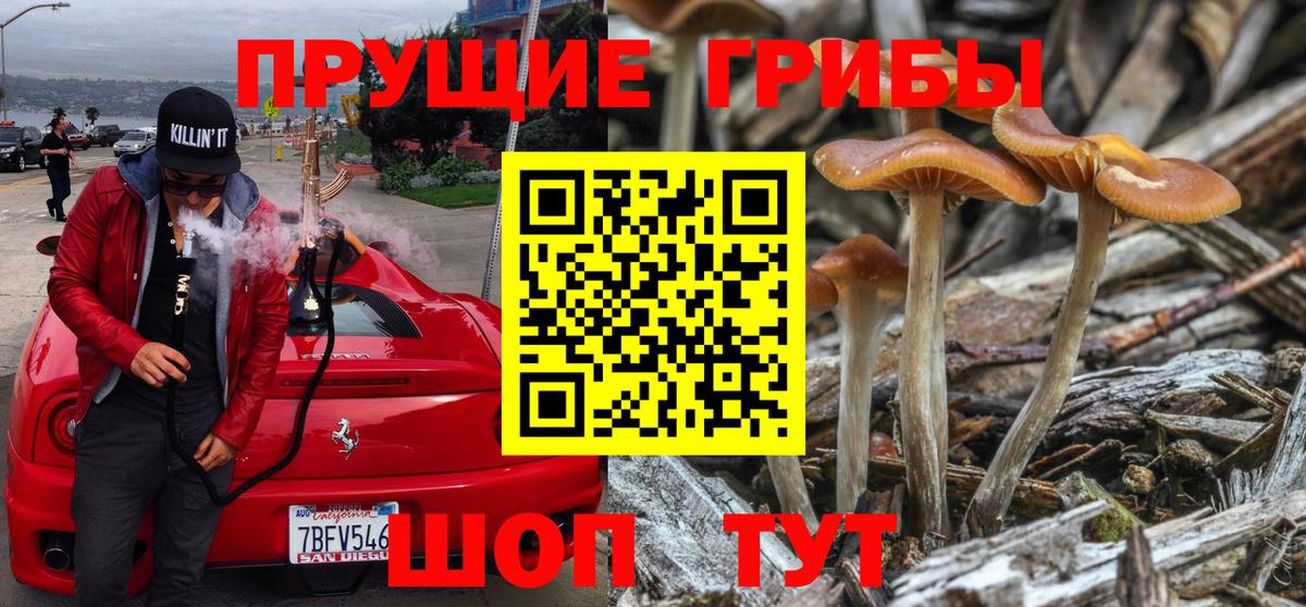 Галлюциногенные грибы мицелий Кинешма
