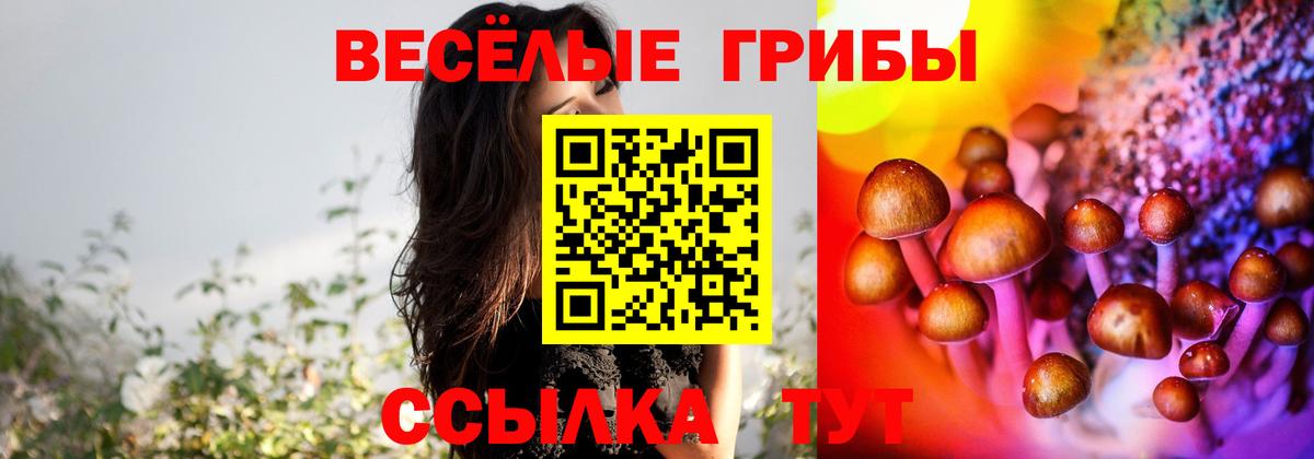 Кинешма  Галлюциногенные грибы мухоморы  Вход с VPN 